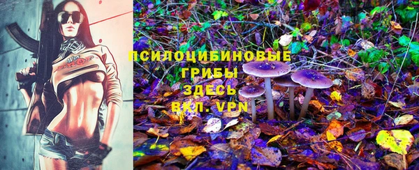 альфа пвп Богородицк